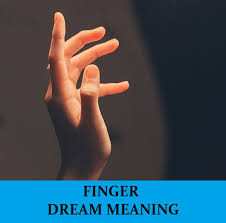 The little finger, or pinky finger, also known as the fifth digit, or pinkie, is the most ulnar and smallest finger of the human hand, opposite the thumb, and next to the ring finger. Finger Dream Meaning Top 18 Dreams About Fingers
