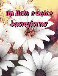 Continuano spedite le riprese della fiction mediaset prodotta da luxvide buongiorno mamma ora si gira a trevignano con raul. Buongiorno Creato Da Mia Mamma Mamy 58 Buongiorno Buongiorno Fiori Buonanotte
