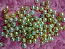 Harga mutiara air laut berkisar antara rp 200.000 hingga rp 300.000 per gramnya. Jual Mutiara Air Laut Berat 3 Gram Di Lapak Gerai Mutiara Aisyah Lombok Bukalapak