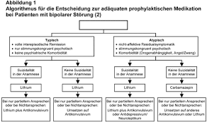 Eine bipolare störung ist eine schwere psychische erkrankung. Lithium Therapie Bei Der Manisch Depressiven Erkrankung Immer Noch Der Standard
