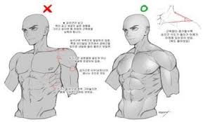 Best How To Draw Anime Neck And Shoulders Ideas Anatomy Reference Guy Drawing Art Reference Poses