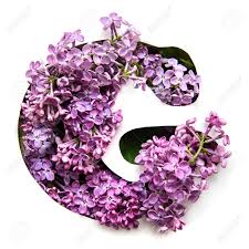 Learn vocabulary, terms and more with flashcards, games and other study tools. The Letter G Of The English Alphabet From A Beautiful Bright Stock Photo Picture And Royalty Free Image Image 108881675