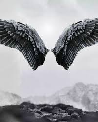 Black And White Background Hd For Editing Welcome To World Of Edit Time To Create Own Concept In 2020 Love Background Images Photo Background Images Background For Photography