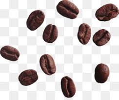 Coffee Beans Png Coffee Beans Cliaprt Cleanpng Kisspng Coffee beans png images for free download: coffee beans png coffee beans cliaprt