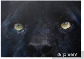 Black panther poster, print, canvas, wakanda forever, chadwick boseman, wall art decor, kids gift, super hero,avengers, marvel splash paint. Black Panther Poster Pixers We Live To Change