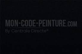 Discussions techniques, mécaniques, accessoires, pistes et circuits, petites. Peinture Ford Escape 15 G1 Absolute Black