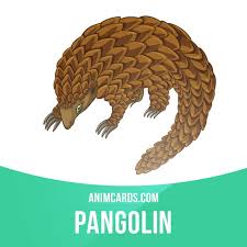 The Ground Pangolin Got Its Common Name From The Malay The National Language Of Malaysia Brunei And Indonesia W Expresiones En Ingles Expresiones Britanicos