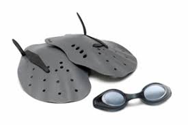 How To Put On Swim Paddles Swimoutlet Com