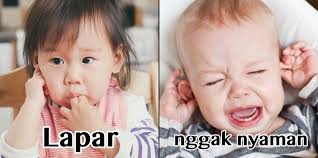 Padahal hal itu sebenarnya tidak perlu ibu khawatirkan berlebihan, karena pada dasarnya gumoh dan muntah sementara itu, muntah atau mual dapat muncul saat anak berlari, menangis, batuk, memasukkan tangan ke mulut, tercium bau yang. 11 Bahasa Isyarat Bayi Yang Coba Ia Katakan Padamu Karena Nangis Saja Nggak Cukup