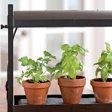 Want fresh herbs for cooking within easy reach? Best Herbs For Growing Indoors Gardener S Supply