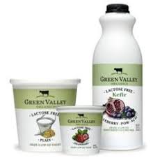 Regular milk and classic live cultures create a delicious, pure yogurt with a naturally tart flavor. 14 Best List Of Lactose Free Yogurt Ideas Lactose Free Lactose Yogurt