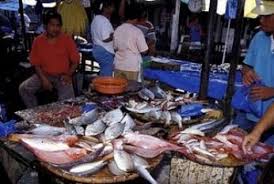 Maybe you would like to learn more about one of these? Media Dan Teknik Pendinginan Ikan Ihsanul Khairi
