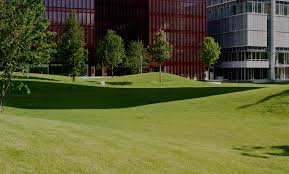 We truly care about our work and want you to love your property. Lawn Mowing High Point Nc And More The Triad S Source For Landscaping