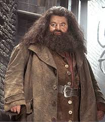 Harry potter books from bloomsbury. Rubeus Hagrid Wikipedia