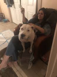 Daily change in any city can be difficult to recognize. Rehoming Your Dog In Dubuque Ia Rehome By Adopt A Pet Com