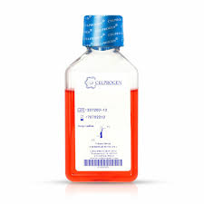 We did not find results for: Human Outer Root Sheath Cell Culture Media With Serum Celprogen