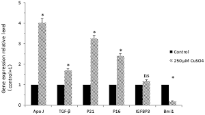 Copper induces cellular senescence in human glioblastoma multiforme cells  through downregulation of Bmi-1