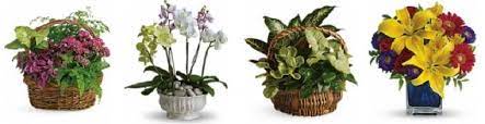 Fresh flowers and hand delivered right to your door in la crosse and surrounding areas. The 8 Best Options For Flower Delivery In La Crosse Wisconsin 2021