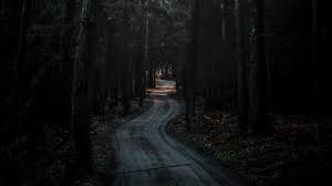Check spelling or type a new query. Forest Road Dark 4k Wallpaper