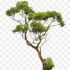Selain sebagai wisata edukasi, pengunjung juga bisa menikmati keindahan alam hutan konservasi. Https Encrypted Tbn0 Gstatic Com Images Q Tbn And9gcssdmx1n7dle I3ro0w Ikvxqepajdcngtaqorr7xb6qks Oz9e Usqp Cau