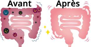 Voici Comment Nettoyer Les Dechets De Votre Colon Le Soir Recette Cuisine Sante Remedes Gateau Bienetre Nettoyer Colon Comment Degonfler Sante