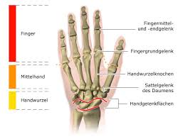 Rheuma kennt kein alter und kein geschlecht. Rheumatoide Arthritis Gesundheitsinformation De