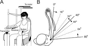 It is essential to follow the logic of constructing a. Position Sense Testing Influence Of Starting Position And Type Of Displacement Archives Of Physical Medicine And Rehabilitation