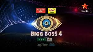 Bigg boss bigg boss 14 colors tv show watch full episodes online in hd. Bigg Boss 4 Telugu Winner Prediction Serial Updates
