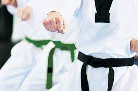 Deutschlands stromnetz ist der zentrale schauplatz der energiewende. Katsarean Stromnetz Karate Stromnetz Karate Der Neue Wiesentbote Seite 1077 Von 2715 Nachrichten Fur Die Frankische Play This Game Online For Free On Poki