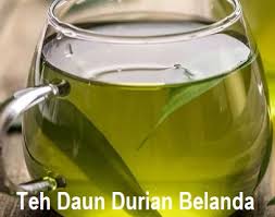 Sehabis melampaui bermacam riset, nyatanya khasiat daun durian belanda ini lumayan beraneka ragam dari mulai penyakit enteng sampai beresiko semacam. Anim Agro Technology Teh Daun Durian Belanda Hebatnya