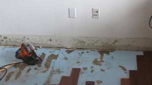 Another typical reason for mold to develop behind drywall or sheetrock is a leaky pipe. Mold On Drywall Should I Clean Up Or Replace Home Improvement Stack Exchange