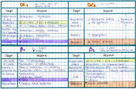 my notes for usmle alpha beta receptors