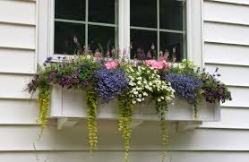 Diy flower boxes for windows. The Definitive Guide To Window Box Design The Impatient Gardener