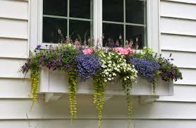 See more ideas about vinyl siding, siding, flower boxes. The Definitive Guide To Window Box Design The Impatient Gardener
