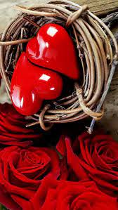 hearts fire heart hearts and roses valentine heart