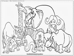We've got all the popular animals to color including cats, dogs, farm animals, lions, birds, fish and so much more! Zoo Animal Color Pages Coloring Pages Blog Order