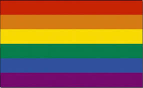 4 8 12 16 20 24 48 96. Vraag Naar Regenboogvlaggen Verviervoudigd Koop Nu Uw Regenboogvlag Voor Saynotonashville Thepostonline