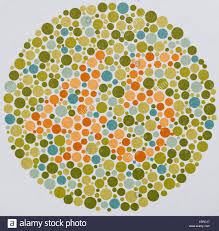 Ishihara Color Vision Test Plates Used For Color Blindness