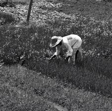 There are 60+ professionals named couacaud, who use linkedin to exchange information, ideas, and opportunities. Menu Enfant Kids Menu Pdf Telechargement Gratuit