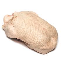 نتیجه جستجوی لغت [canard] در گوگل