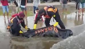 Sehingga menjadi inspirasi dalam membuat puisi. Lepas Pengawasan Orangtua Bocah Sd Tewas Terseret Ombak Pantai Di Padang Okezone News
