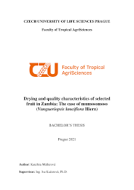 Image result for Vangueriopsis lanciflora