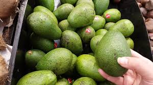 كيف تعرف جودة الأفوكادو بالتفصيل عالم مرڤت Youtube Avocado Fruit Lime