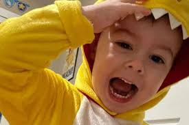 Fundraiser for Mason Carver by Stephanie Carver : The family of Lincoln  Carver.