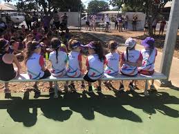 Mareeba shire council, mareeba, queensland. Mareeba Netball Association Home Facebook