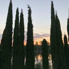 He is 25 years old and his height is 193cm/6'4''. Photos At General Martinez Campos Other Great Outdoors In Madrid