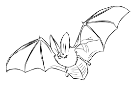 Our printable sheets for coloring in are ideal to brighten your family's day. Realistic Bat Coloring Pages To Print Coloring4free Coloring4free Com