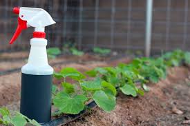 Natural vegetable based soaps or detergents are added to sprays in small amounts to make them stick to plants. My Organic Garden Pest Control