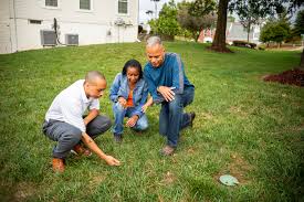 3 tips on how to fix and prevent lawn damage from small animals. Blades Of Green Vs Natural Green 2 Lawn Care Pest Control Options For Central Southern Md