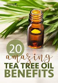 20 Amazing Tea Tree Oil Benefits Tea Tree Oil Benefits Tea Tree Oil Uses Tea Tree Essential Oil